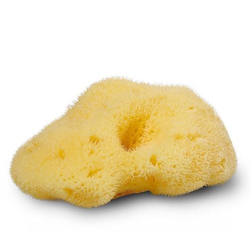 Natursvamp Silke 4 5 Cm   1 Styk      Organic Laundry fra Cocoon