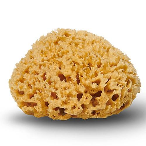 Natursvamp Honeycomb 10 11 Cm   1 Styk      Organic Laundry fra Cocoon