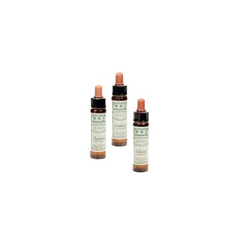 ægte Kastanie   10 Ml fra Dr. Bach