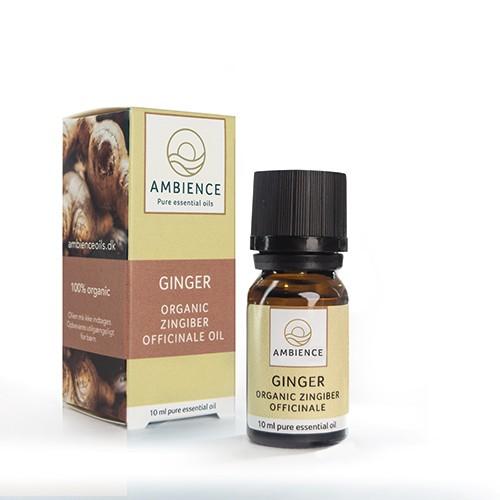 Ingefær Olie, øko   10 Ml fra Ambience