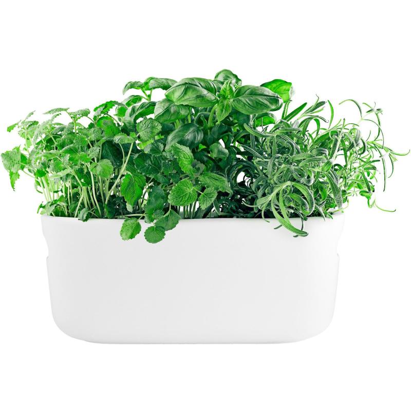 Selvvandende Herb Organiser Hvid fra Eva Solo