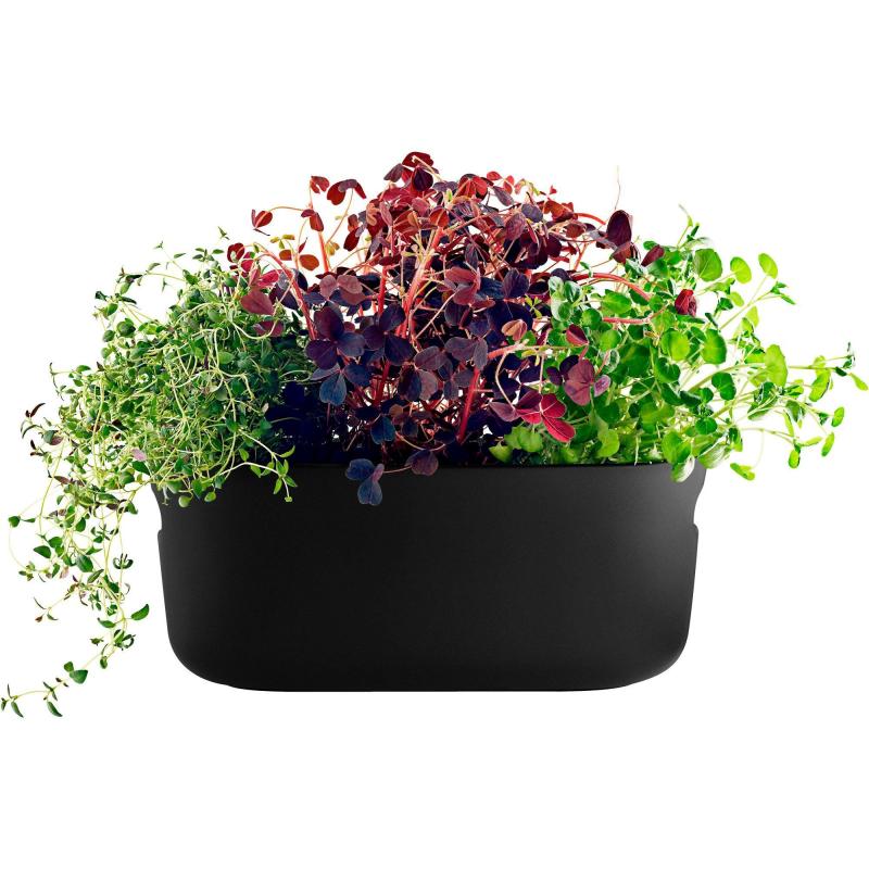 Selvvandende Herb Organiser Sort fra Eva Solo