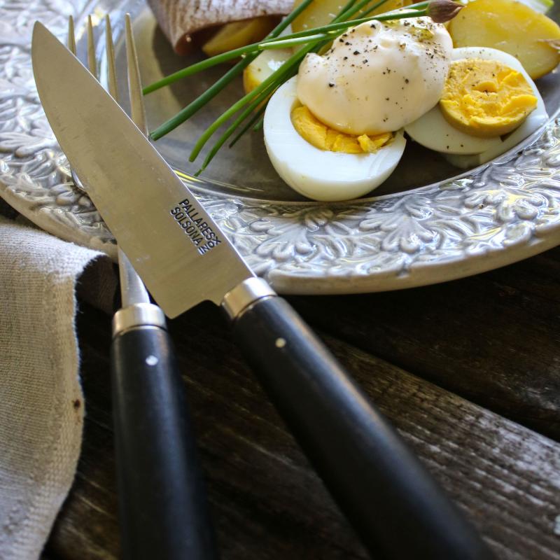 Kødkniv Rustfrit 22,5 Cm, Rustfrit Stål Ibenholt, 4 Stk. fra Pallarés